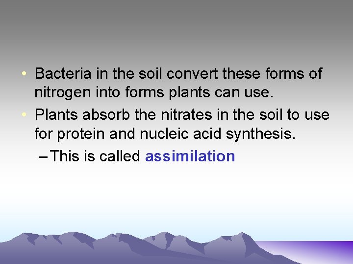  • Bacteria in the soil convert these forms of nitrogen into forms plants