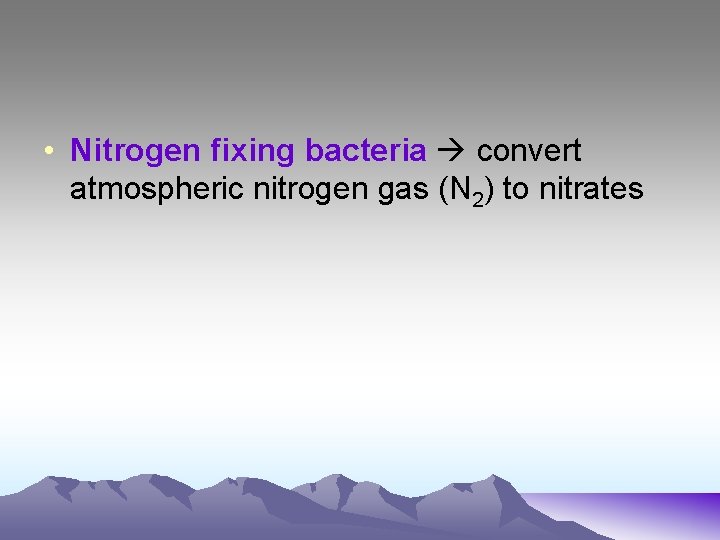  • Nitrogen fixing bacteria convert atmospheric nitrogen gas (N 2) to nitrates 