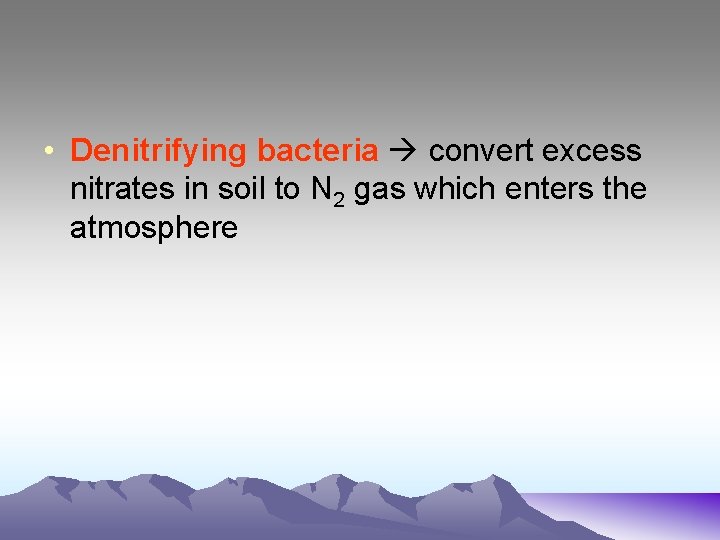  • Denitrifying bacteria convert excess nitrates in soil to N 2 gas which