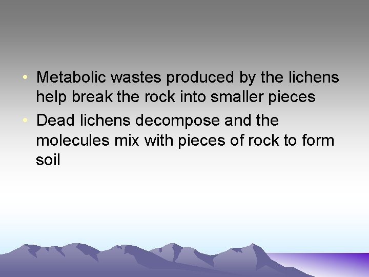  • Metabolic wastes produced by the lichens help break the rock into smaller