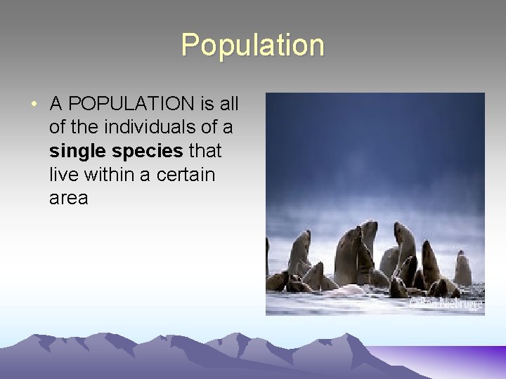 Population • A POPULATION is all of the individuals of a single species that