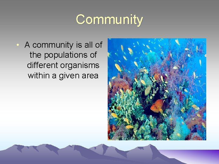 Community • A community is all of the populations of different organisms within a