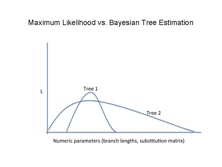 Maximum Likelihood vs. Bayesian Tree Estimation Maximum Likelihood vs. Bayesian Tree Estimation