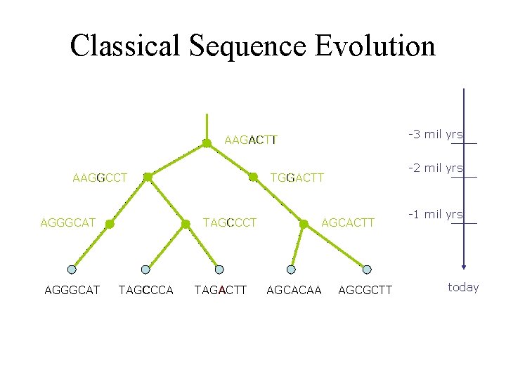 Classical Sequence Evolution -3 mil yrs AAGACTT AAGGCCT AGGGCAT TAGCCCA -2 mil yrs TGGACTT Classical Sequence Evolution -3 mil yrs AAGACTT AAGGCCT AGGGCAT TAGCCCA -2 mil yrs TGGACTT