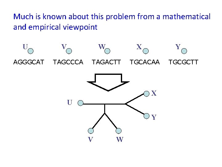 Much is known about this problem from a mathematical and empirical viewpoint U AGGGCAT Much is known about this problem from a mathematical and empirical viewpoint U AGGGCAT