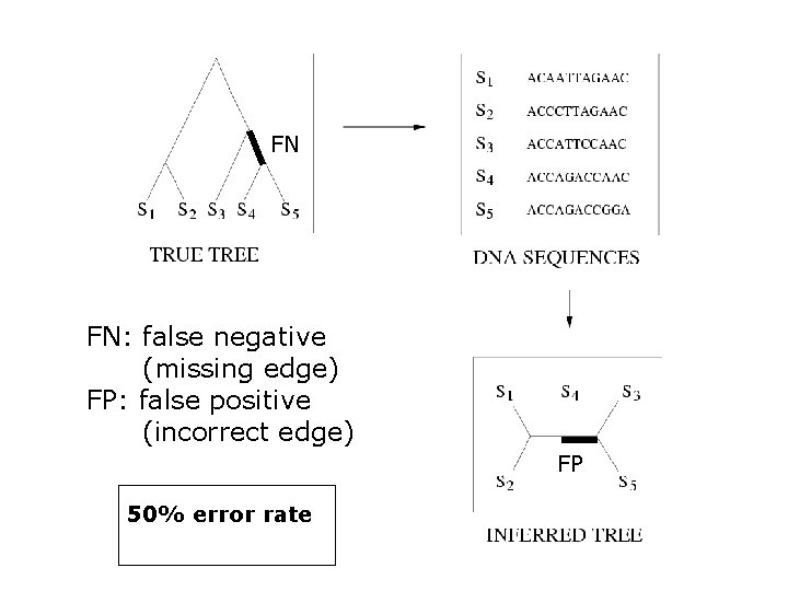 FN FN: false negative (missing edge) FP: false positive (incorrect edge) FP 50% error FN FN: false negative (missing edge) FP: false positive (incorrect edge) FP 50% error
