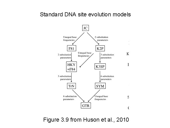 Standard DNA site evolution models Figure 3. 9 from Huson et al. , 2010 Standard DNA site evolution models Figure 3. 9 from Huson et al. , 2010