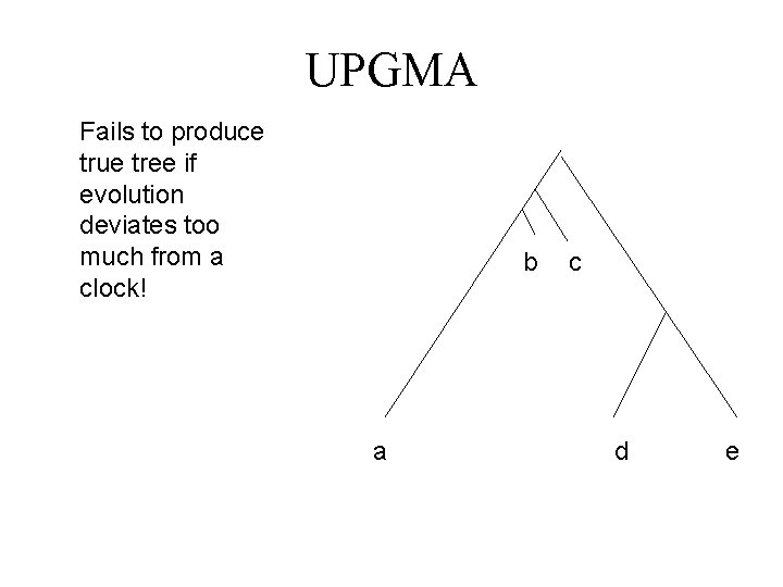 UPGMA Fails to produce true tree if evolution deviates too much from a clock! UPGMA Fails to produce true tree if evolution deviates too much from a clock!
