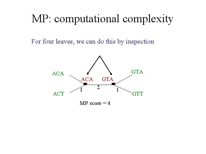MP: computational complexity For four leaves, we can do this by inspection ACA ACT MP: computational complexity For four leaves, we can do this by inspection ACA ACT