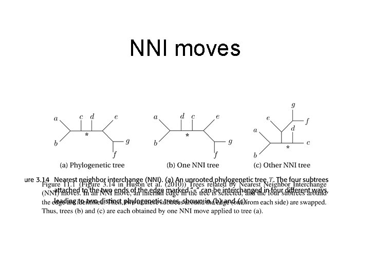 NNI moves NNI moves