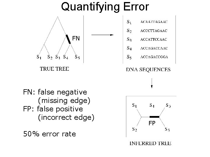 Quantifying Error FN FN: false negative (missing edge) FP: false positive (incorrect edge) 50% Quantifying Error FN FN: false negative (missing edge) FP: false positive (incorrect edge) 50%