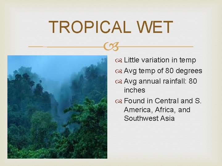 TROPICAL WET Little variation in temp Avg temp of 80 degrees Avg annual rainfall: