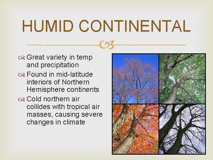 HUMID CONTINENTAL Great variety in temp and precipitation Found in mid-latitude interiors of Northern