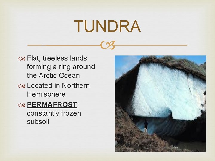 TUNDRA Flat, treeless lands forming a ring around the Arctic Ocean Located in Northern