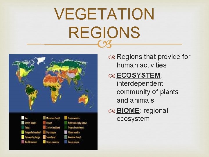 VEGETATION REGIONS Regions that provide for human activities ECOSYSTEM: interdependent community of plants and