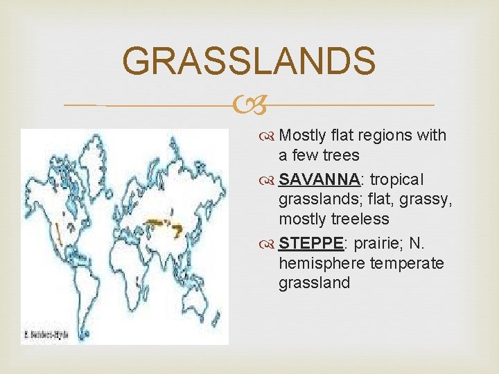 GRASSLANDS Mostly flat regions with a few trees SAVANNA: tropical grasslands; flat, grassy, mostly