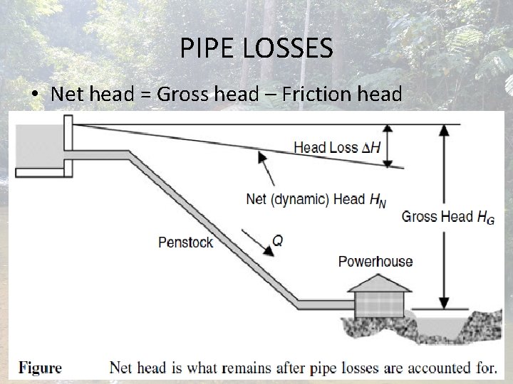 PIPE LOSSES • Net head = Gross head – Friction head PIPE LOSSES • Net head = Gross head – Friction head