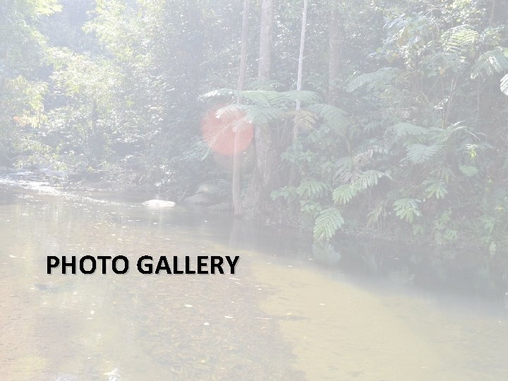 PHOTO GALLERY PHOTO GALLERY