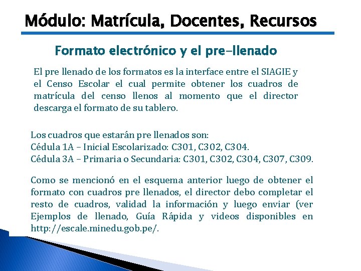 Módulo: Matrícula, Docentes, Recursos Formato electrónico y el pre-llenado El pre llenado de los