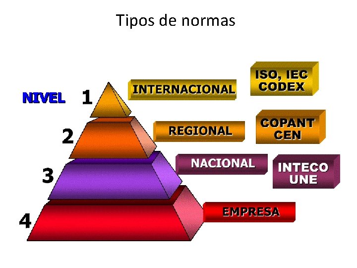 Tipos de normas 