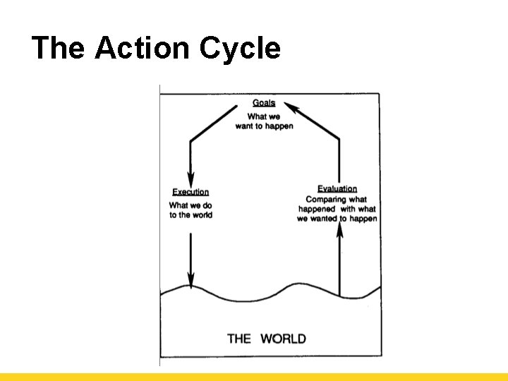 The Action Cycle 