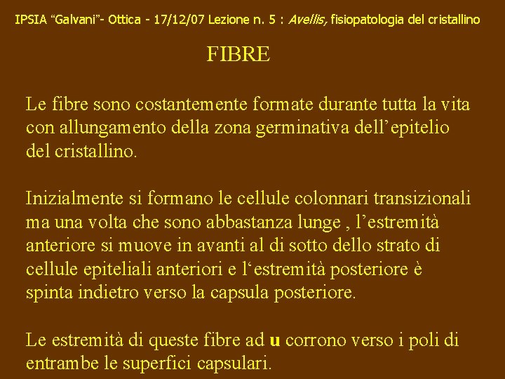 IPSIA “Galvani”- Ottica - 17/12/07 Lezione n. 5 : Avellis, fisiopatologia del cristallino FIBRE