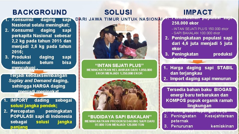 BACKGROUND SOLUSI 1. Konsumsi daging sapi DARI JAWA TIMUR UNTUK NASIONAL 1. Nasional selalu