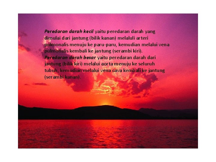Peredaran darah kecil yaitu peredaran darah yang dimulai dari jantung (bilik kanan) melaluli arteri