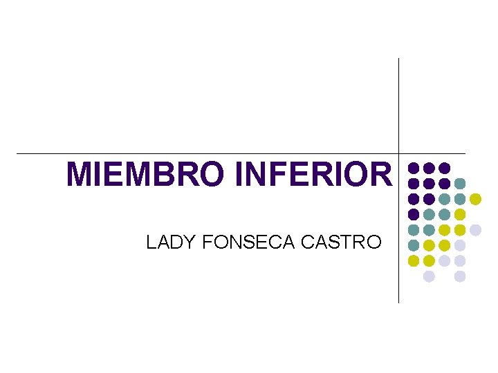 MIEMBRO INFERIOR LADY FONSECA CASTRO 