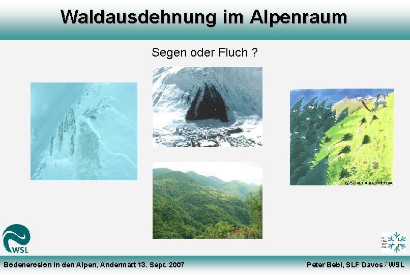 Waldausdehnung im Alpenraum Segen oder Fluch ? ©Sylvia Vananderoye Bodenerosion in den Alpen, Andermatt