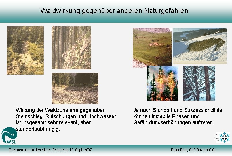 Waldwirkung gegenüber anderen Naturgefahren Wirkung der Waldzunahme gegenüber Steinschlag, Rutschungen und Hochwasser ist insgesamt