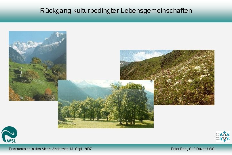 Rückgang kulturbedingter Lebensgemeinschaften Bodenerosion in den Alpen, Andermatt 13. Sept. 2007 Peter Bebi, SLF