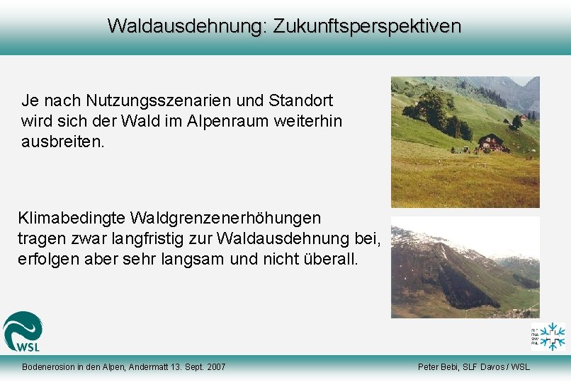 Waldausdehnung: Zukunftsperspektiven Je nach Nutzungsszenarien und Standort wird sich der Wald im Alpenraum weiterhin
