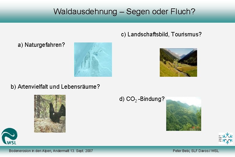 Waldausdehnung – Segen oder Fluch? c) Landschaftsbild, Tourismus? a) Naturgefahren? b) Artenvielfalt und Lebensräume?