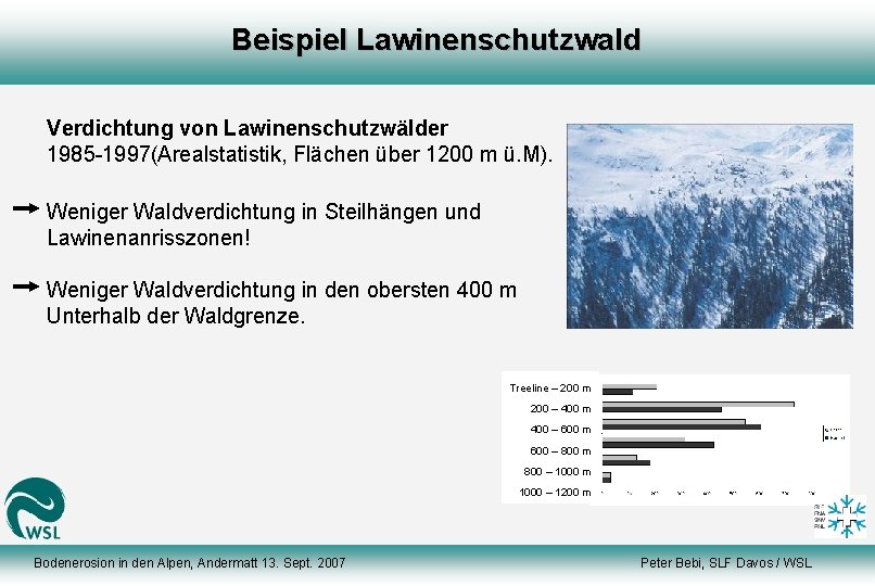Beispiel Lawinenschutzwald Verdichtung von Lawinenschutzwälder 1985 -1997(Arealstatistik, Flächen über 1200 m ü. M). Weniger