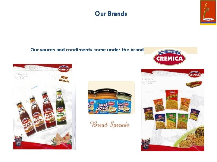Our Brands Our sauces and condiments come under the brand 