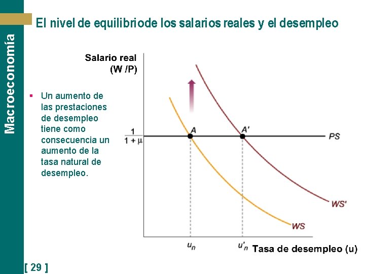 Macroeconomía El nivel de equilibriode los salarios reales y el desempleo § Un aumento