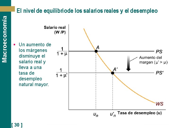 Macroeconomía El nivel de equilibriode los salarios reales y el desempleo § Un aumento