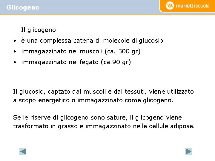 Glicogeno Il glicogeno • è una complessa catena di molecole di glucosio • immagazzinato