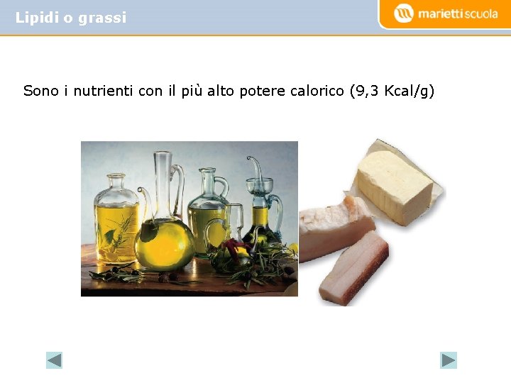 Lipidi o grassi Sono i nutrienti con il più alto potere calorico (9, 3