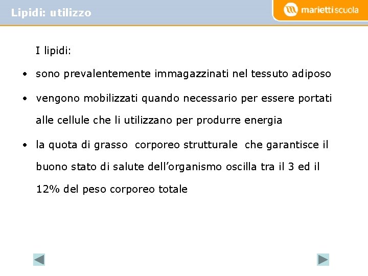 Lipidi: utilizzo I lipidi: • sono prevalentemente immagazzinati nel tessuto adiposo • vengono mobilizzati