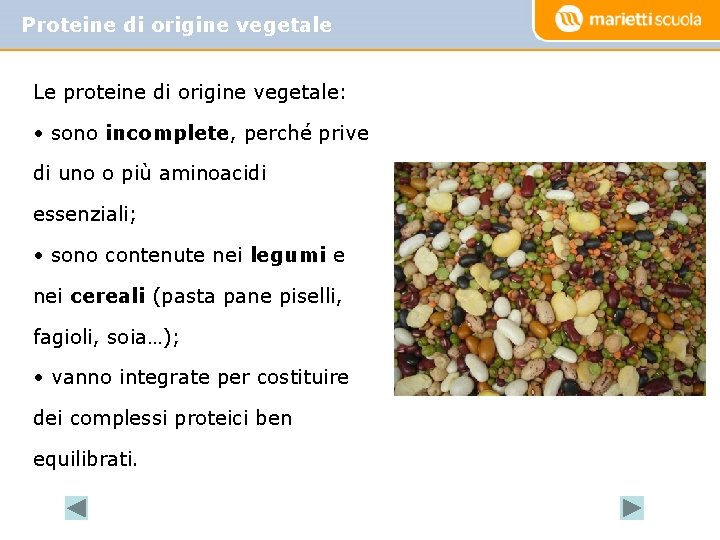 Proteine di origine vegetale Le proteine di origine vegetale: • sono incomplete, perché prive