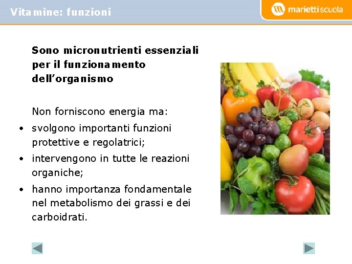 Vitamine: funzioni Sono micronutrienti essenziali per il funzionamento dell’organismo Non forniscono energia ma: •