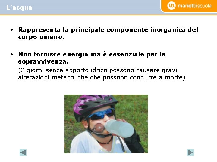 L’acqua • Rappresenta la principale componente inorganica del corpo umano. • Non fornisce energia