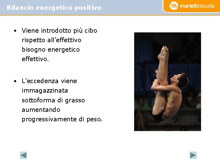 Bilancio energetico positivo • Viene introdotto più cibo rispetto all’effettivo bisogno energetico effettivo. •