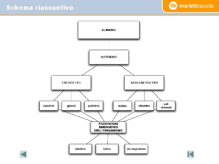 Schema riassuntivo 