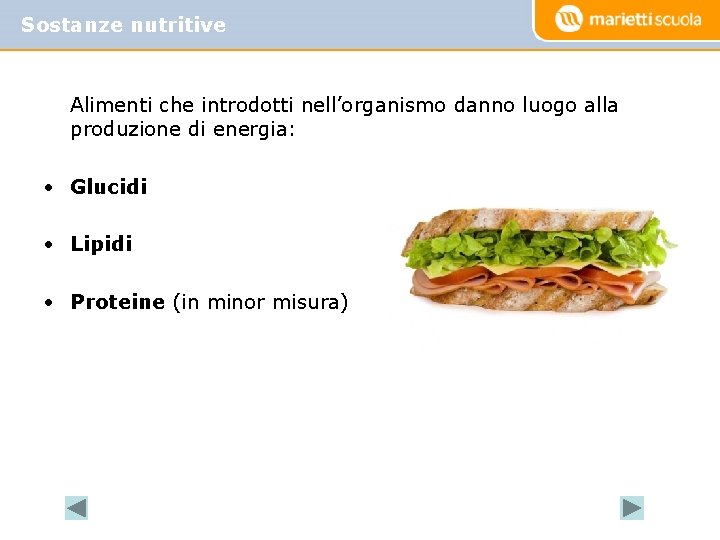 Sostanze nutritive Alimenti che introdotti nell’organismo danno luogo alla produzione di energia: • Glucidi
