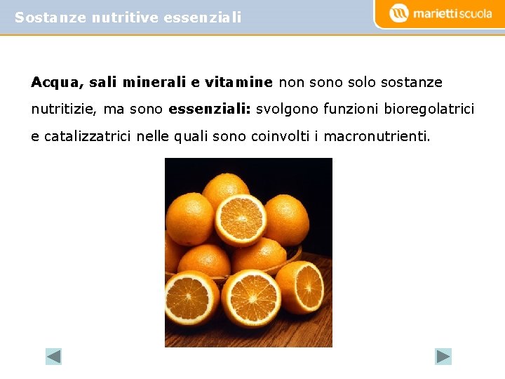 Sostanze nutritive essenziali Acqua, sali minerali e vitamine non sono solo sostanze nutritizie, ma
