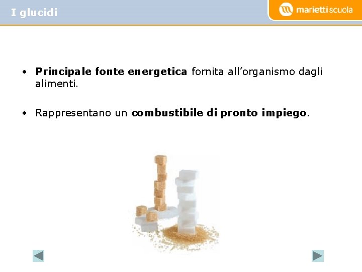 I glucidi • Principale fonte energetica fornita all’organismo dagli alimenti. • Rappresentano un combustibile