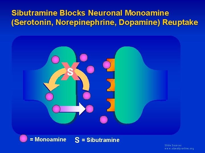 Sibutramine Blocks Neuronal Monoamine (Serotonin, Norepinephrine, Dopamine) Reuptake X S = Monoamine S =